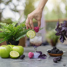 Load image into Gallery viewer, Sangria - Blackberry, Green Apple & Vanilla